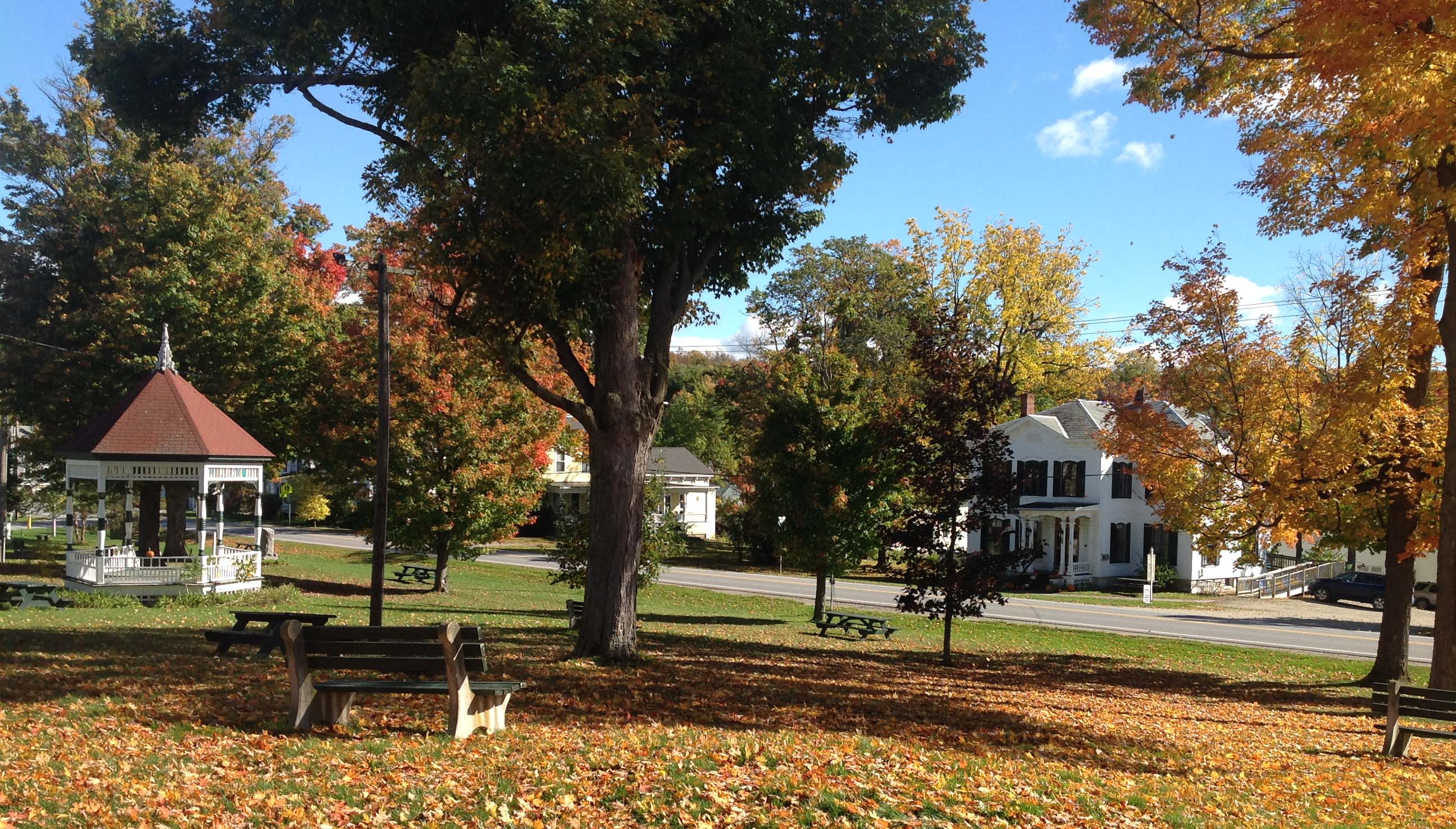 fall library Orwell Free Library
